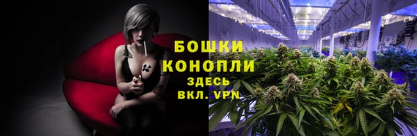 бошки Алзамай