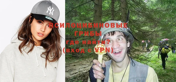 бошки Алзамай