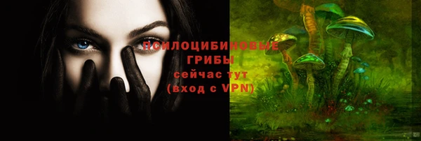 соль ск Алексеевка