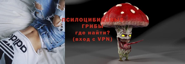 соль ск Алексеевка