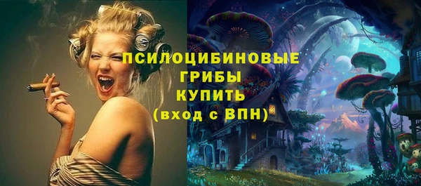 бошки Алзамай
