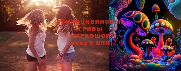бошки Алзамай